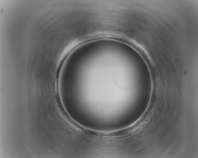 X0000064741365200602171656