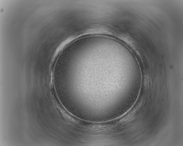 X0000064741366200602171656