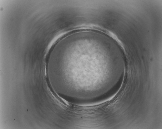 X0000064741368200602171656