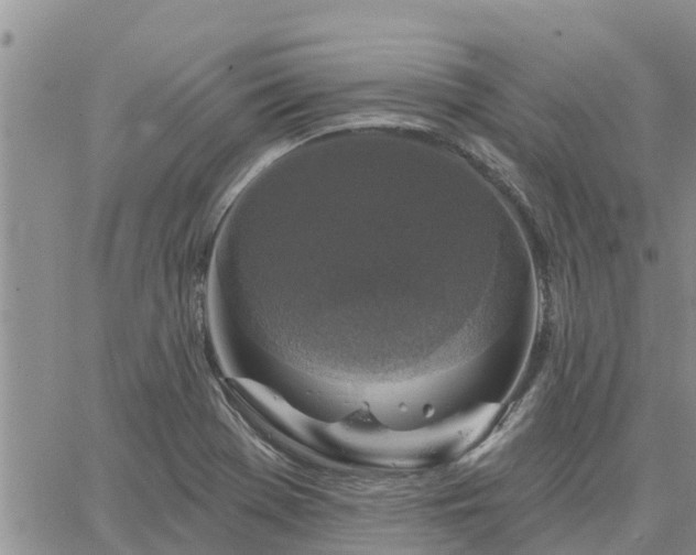 X0000064741369200602171656