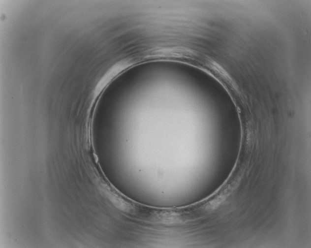 X0000064741370200602171656