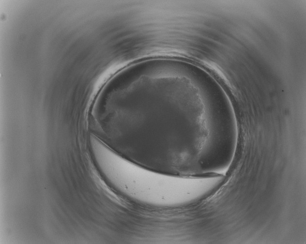 X0000064741371200602171656