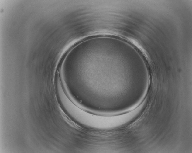 X0000064741372200602171656