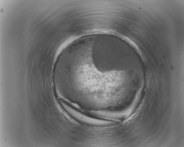 X0000064741373200602171656