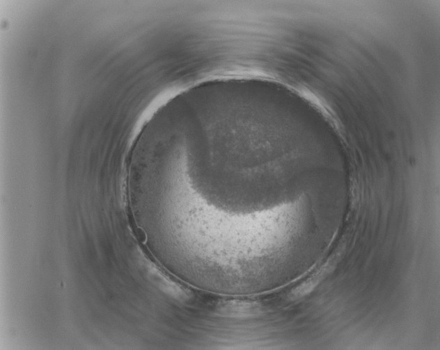 X0000064741374200602171656