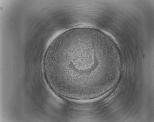 X0000064741375200602171656