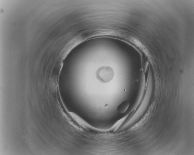 X0000064741377200602171656