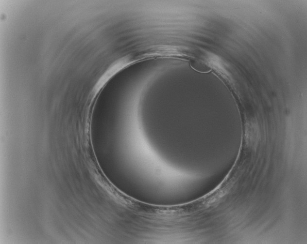 X0000064741378200602171656