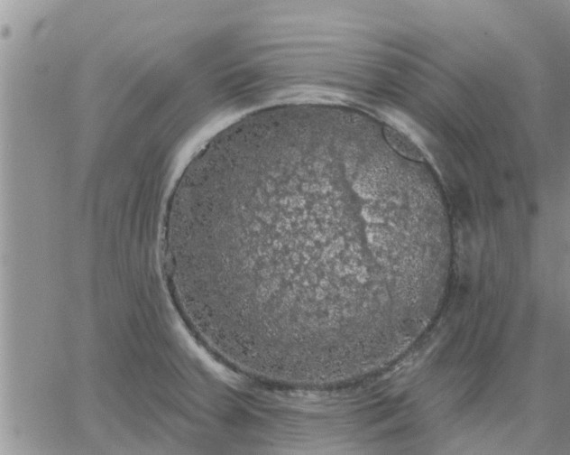 X0000064741379200602171656