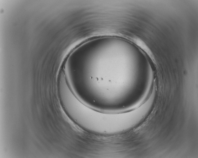 X0000064741380200602171656