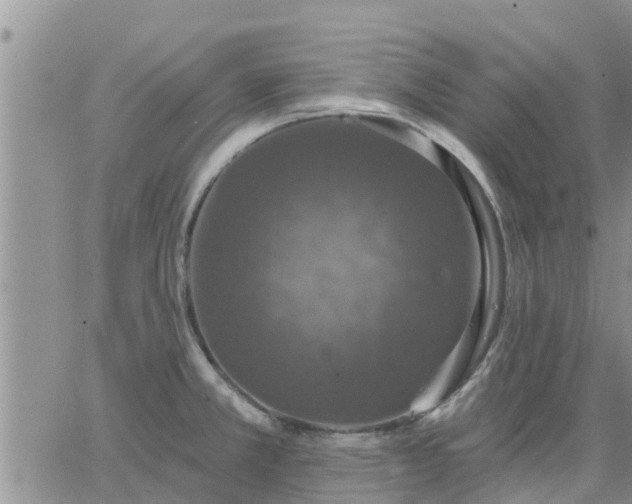 X0000064741381200602171656