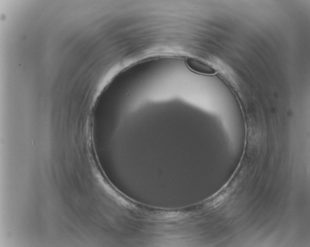 X0000064741382200602171656