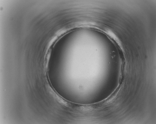 X0000064741384200602171656