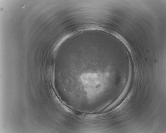 X0000064741385200602171656