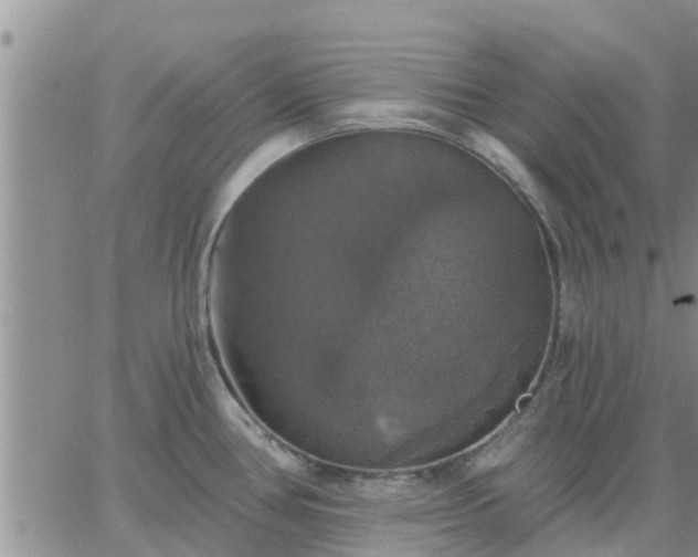 X0000064741386200602171656