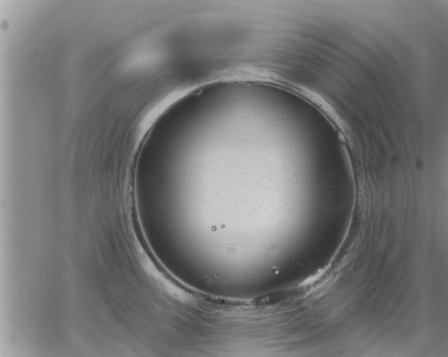 X0000064741387200602171656