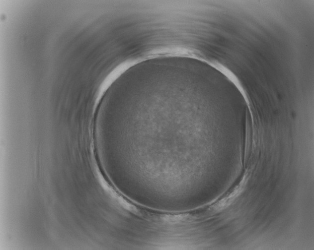 X0000064741389200602171656