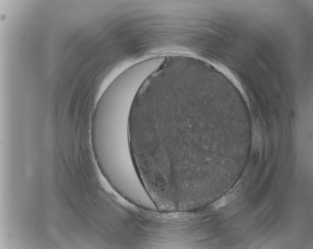 X0000064741390200602171656