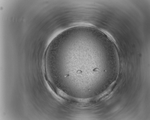 X0000064741391200602171656