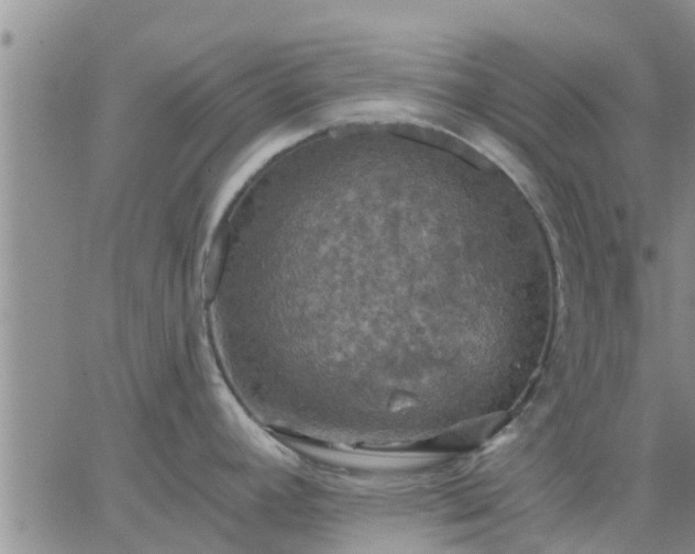 X0000064741392200602171656