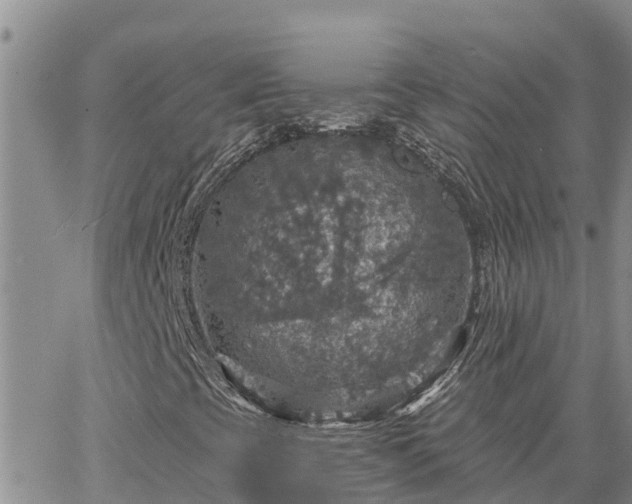 X0000064741393200602171655