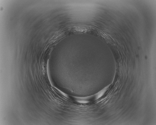 X0000064741394200602171655