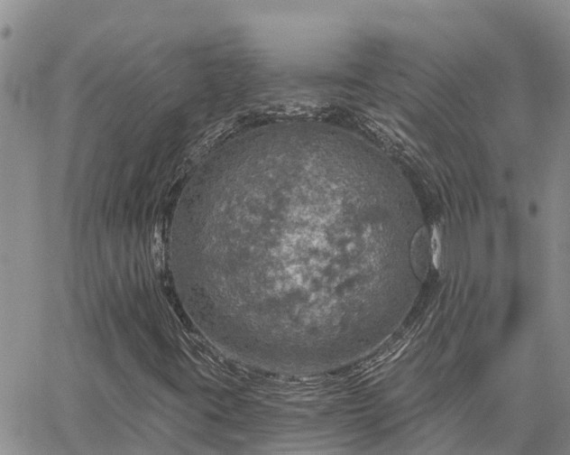 X0000064741395200602171655