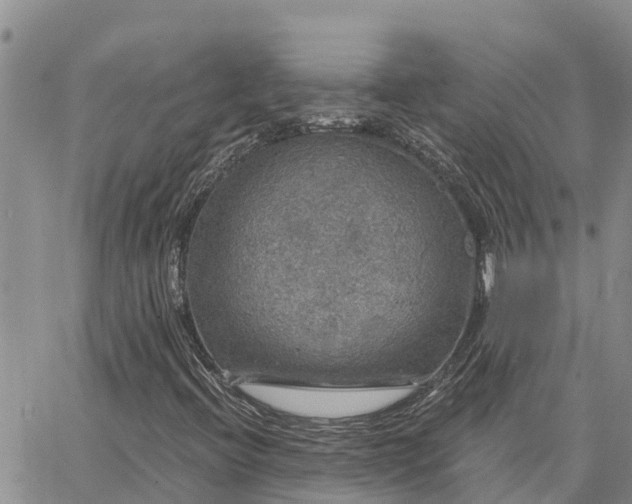 X0000064741396200602171655