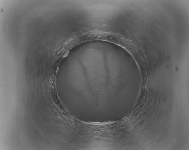 X0000064741397200602171655