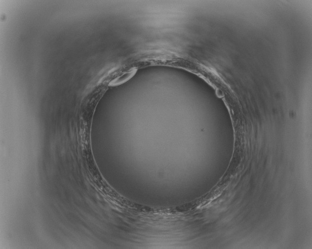 X0000064741399200602171655