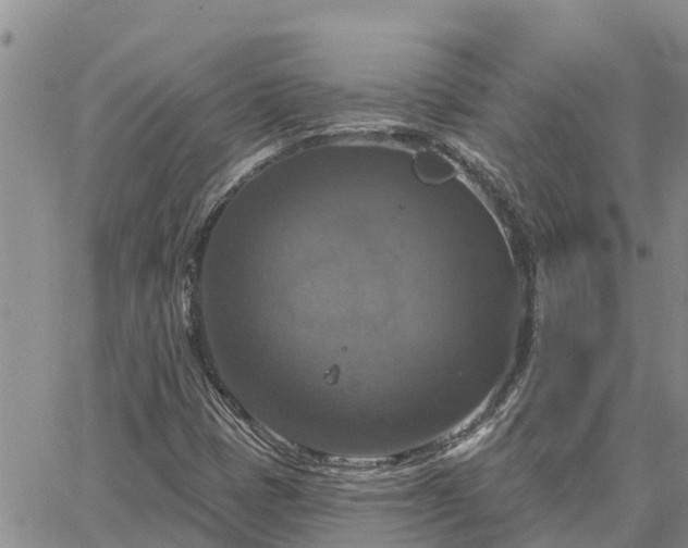 X0000064741401200602171655