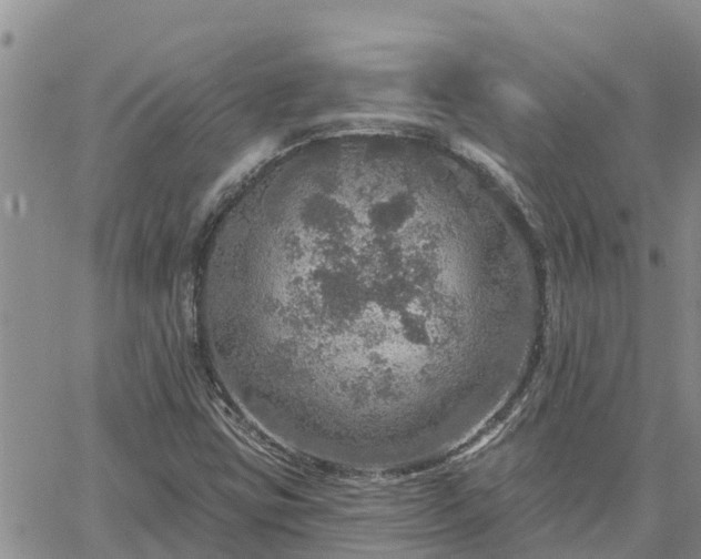 X0000064741403200602171655