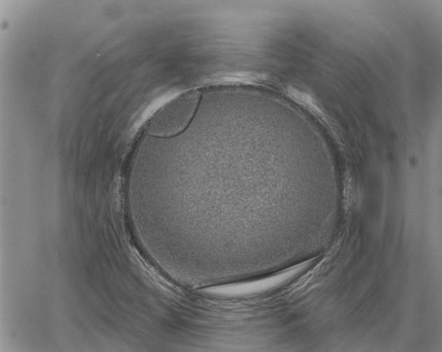 X0000064741404200602171655