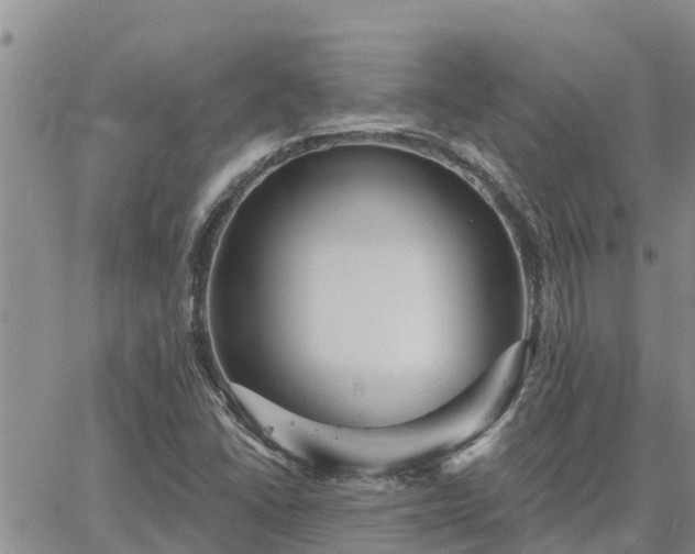 X0000064741406200602171655