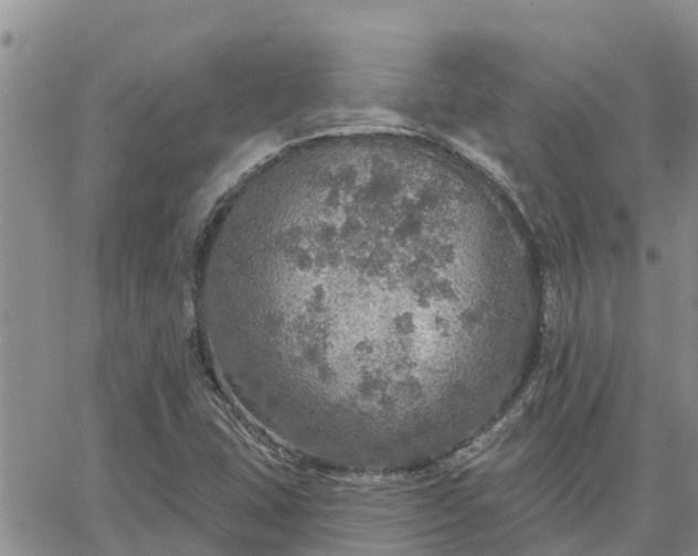 X0000064741407200602171655