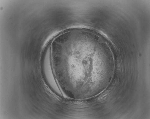 X0000064741408200602171655