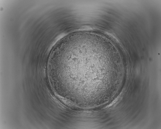 X0000064741409200602171655