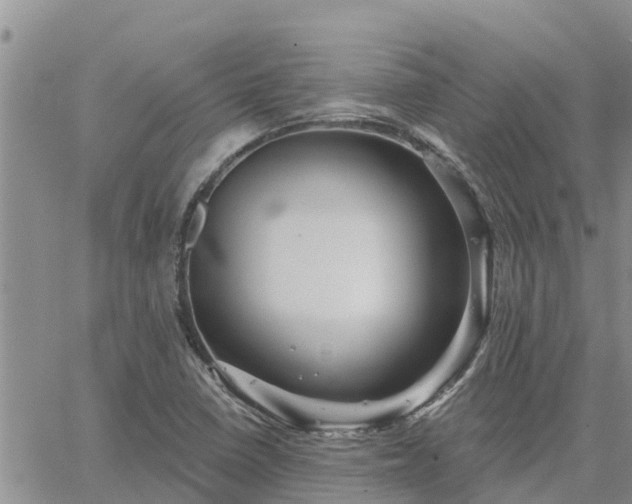 X0000064741410200602171655