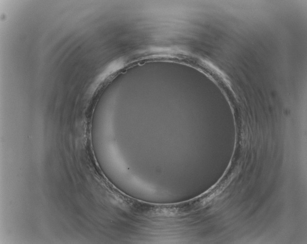 X0000064741411200602171655