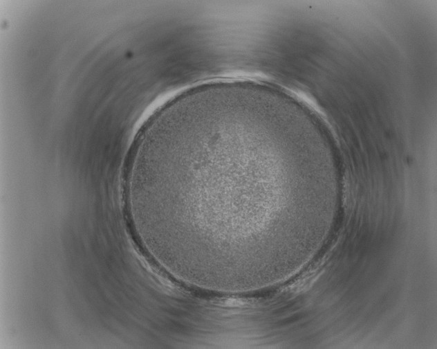 X0000064741412200602171655