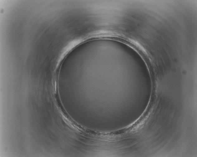 X0000064741413200602171655