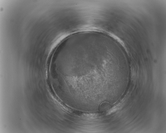 X0000064741415200602171655