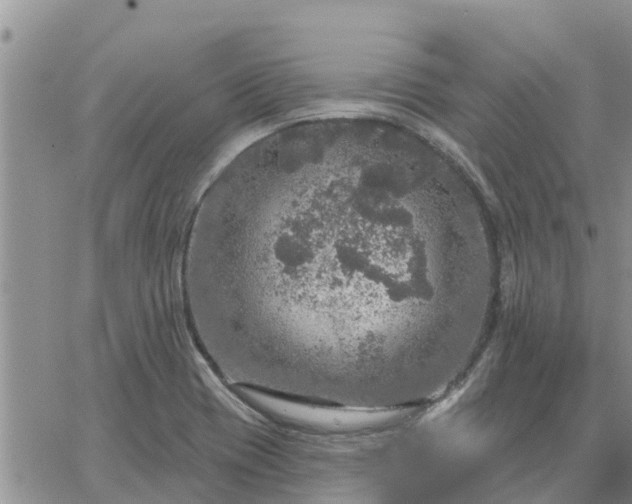 X0000064741417200602171655