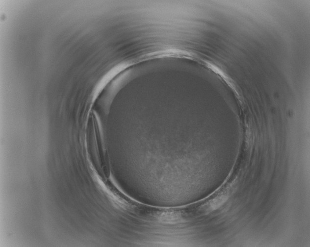 X0000064741418200602171655