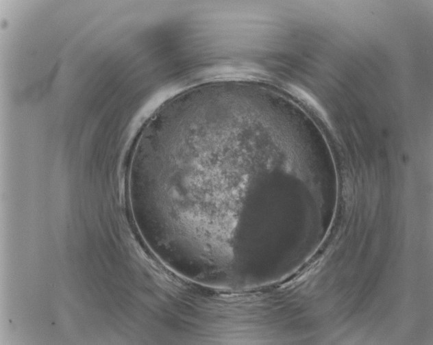 X0000064741419200602171655