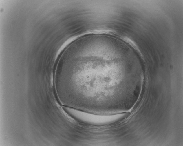 X0000064741420200602171655