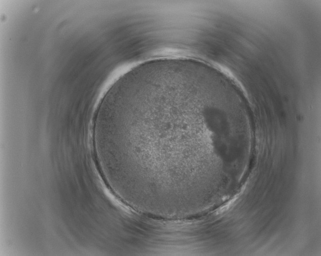 X0000064741421200602171655