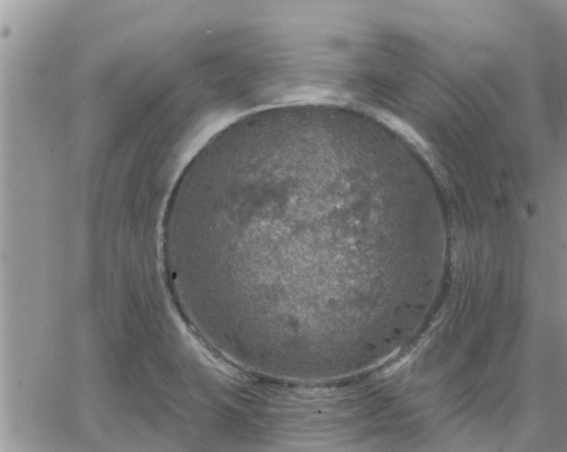 X0000064741423200602171655