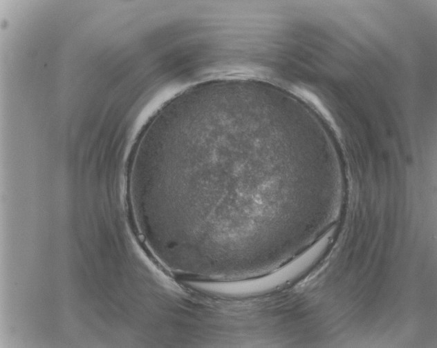 X0000064741424200602171655