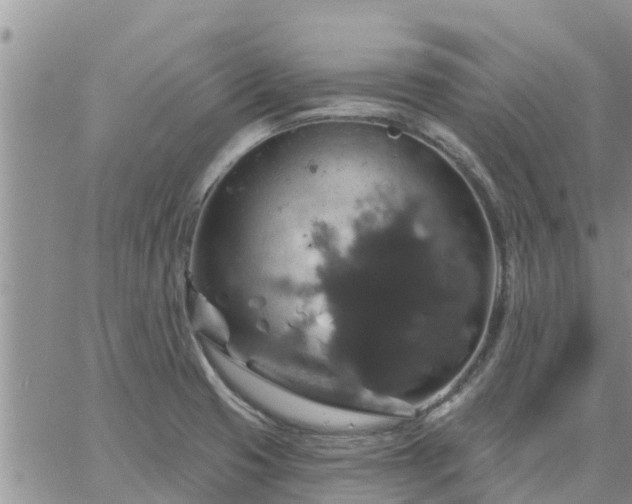 X0000064741425200602171656